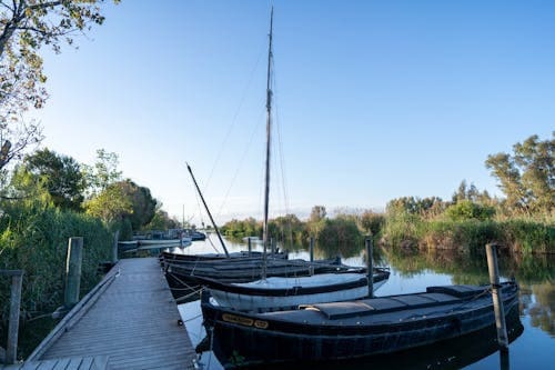 albufera