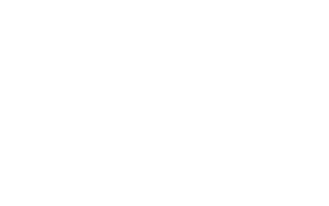 planmeca white